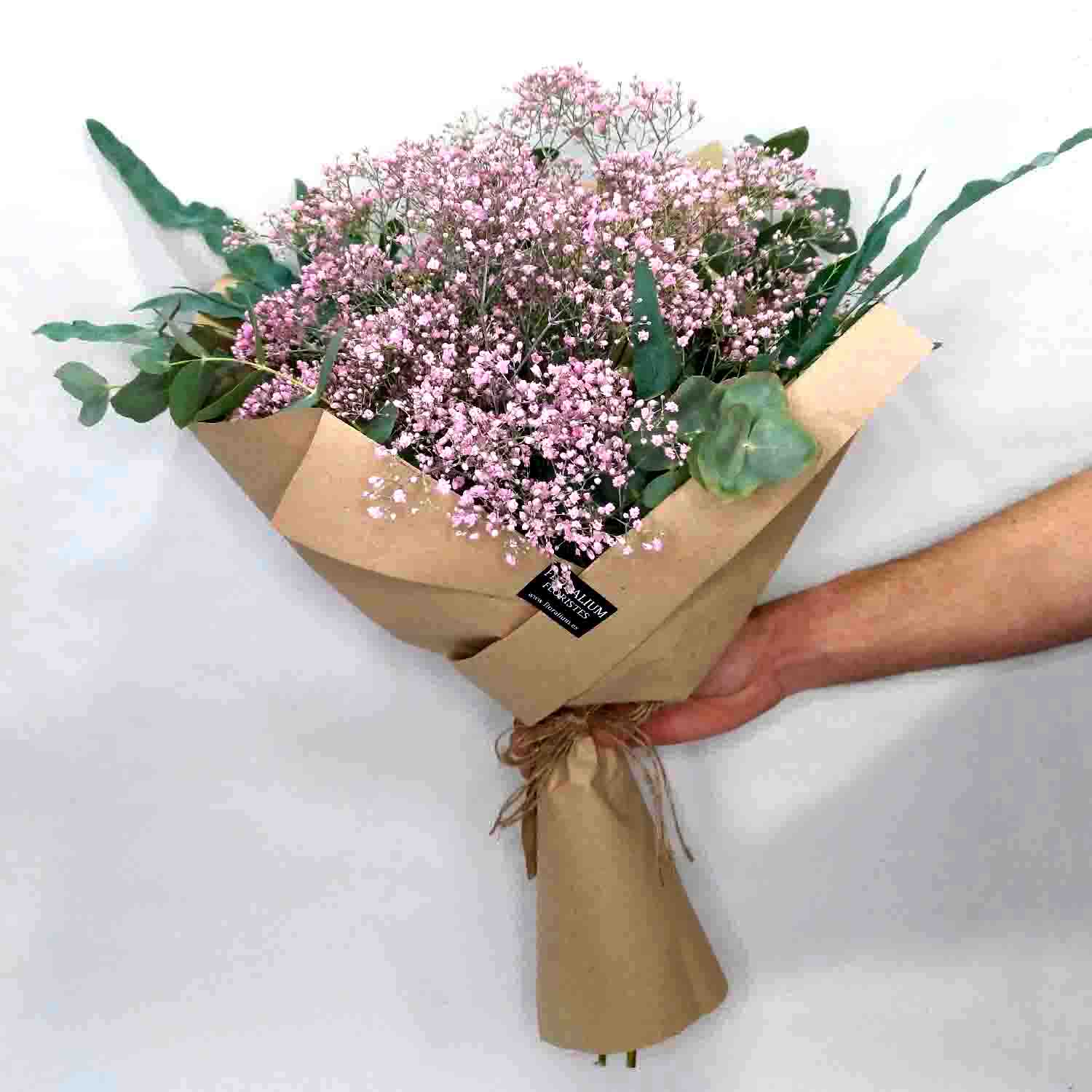 Paniculata_color_mediano