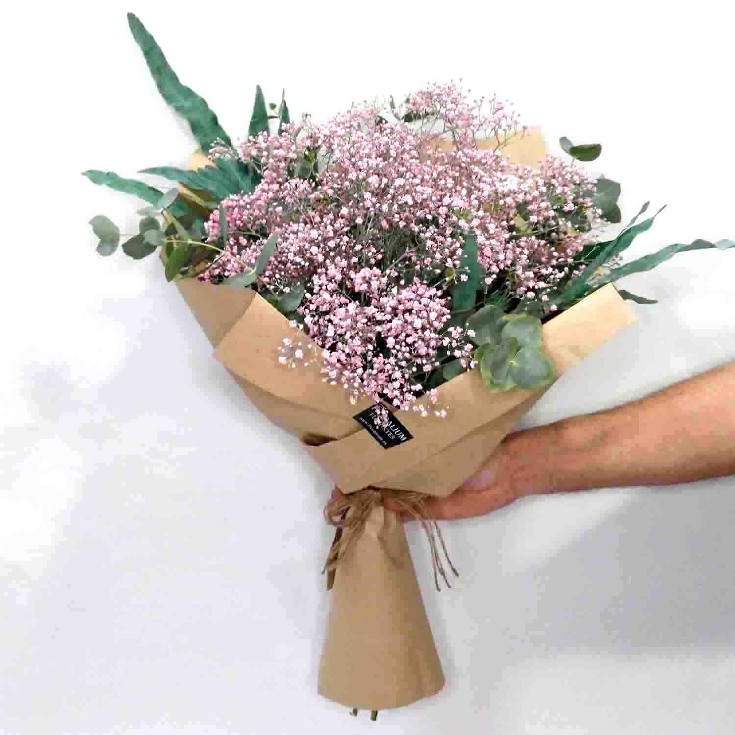 paniculata_color_mediano_2