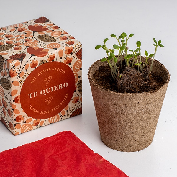 Floralium-Diselo-con-flores-Te-Quiero-4-1